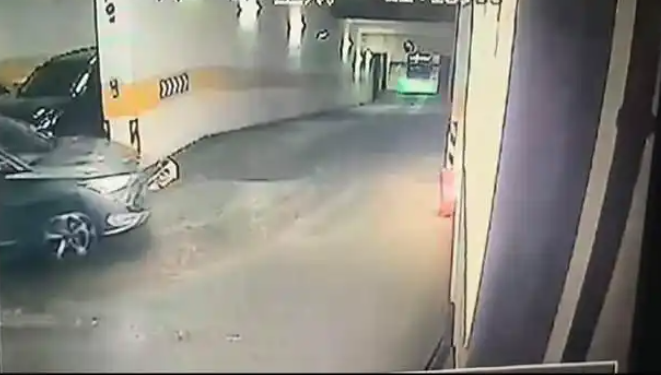 送宠物店洗澡的小狗因店员疏忽跑出被撞死：主人索赔数万，协商未果