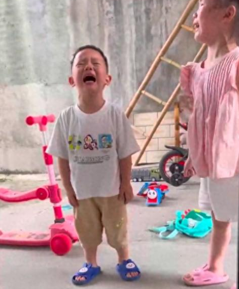 邻居小孩邀请狗狗去看宠物小鸡，结果狗直接将小鸡咬死了！