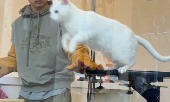 男子带猫咪去宠物店洗澡，猫咪脾气暴躁挠工作人员