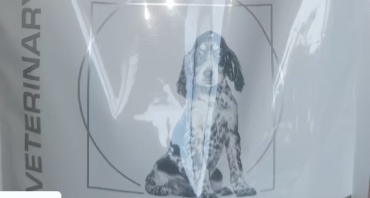 宠物犬便血后死亡消费者称狗粮内发现铁钉