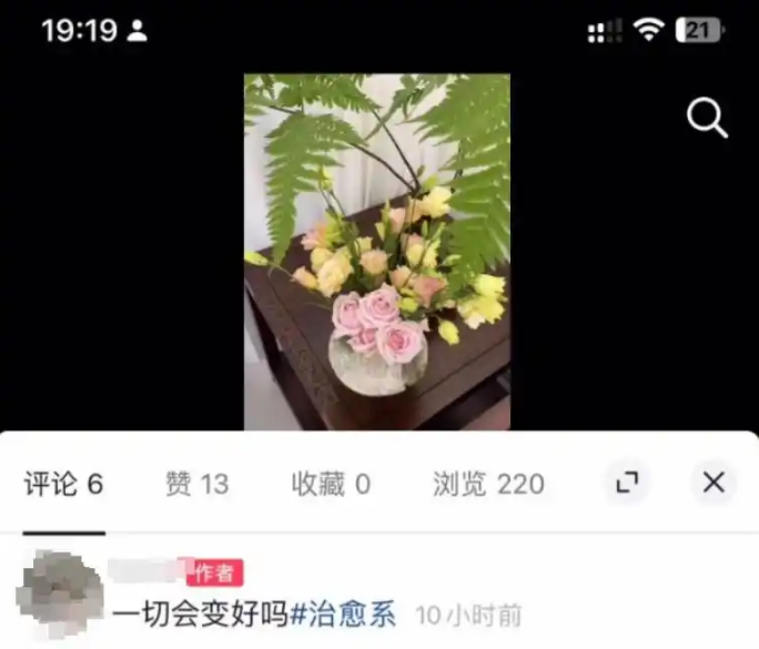 宠物狗送去驯化成网红，拿回被要求签“百万赔偿合同”