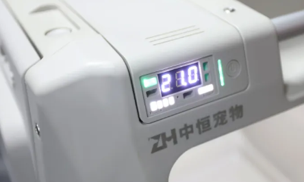 高铁推出宠物托运服务，你会让家里“毛孩子”坐高铁吗？