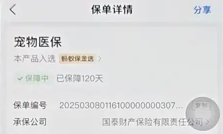 宠物狗长肿瘤手术后保险“拒赔”