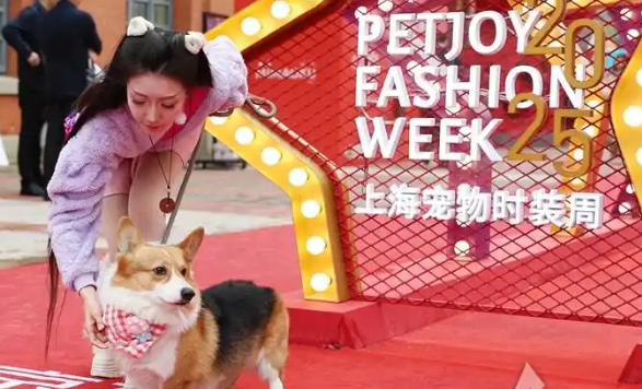 上海宠物时装周发布时尚趋势白皮书