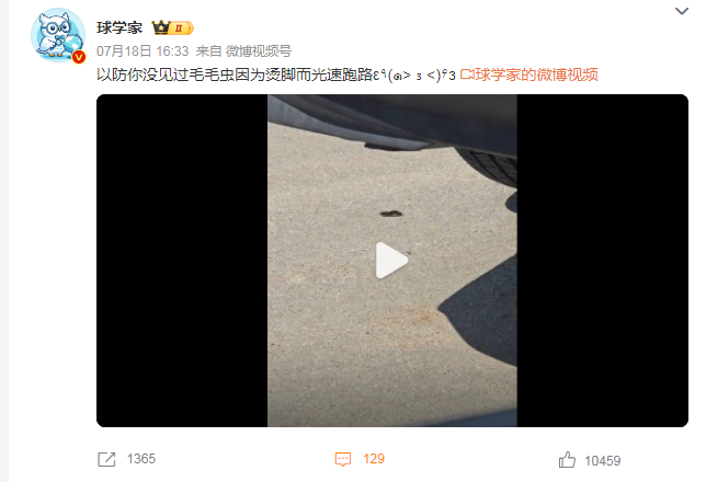 热热热!毛毛虫因为烫脚而光速跑路 热热热!毛毛虫因为烫脚而光速跑路