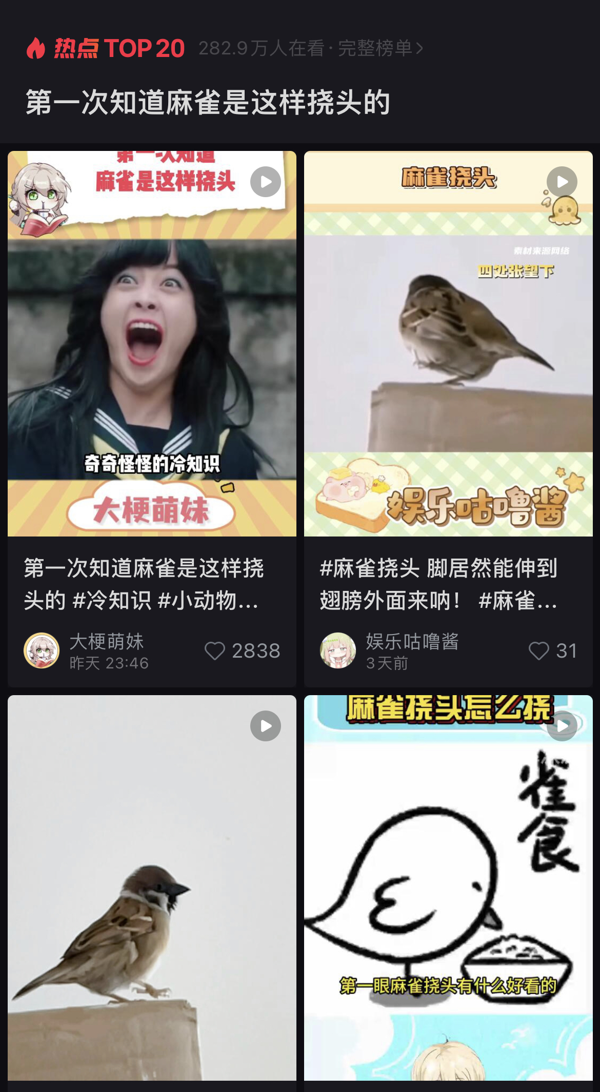 奇奇怪怪的冷知识再添一笔：麻雀竟“狗里狗气”地挠头