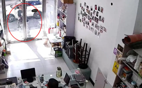 朋友送网友一条巨贵犬，来到门口扔了就走！