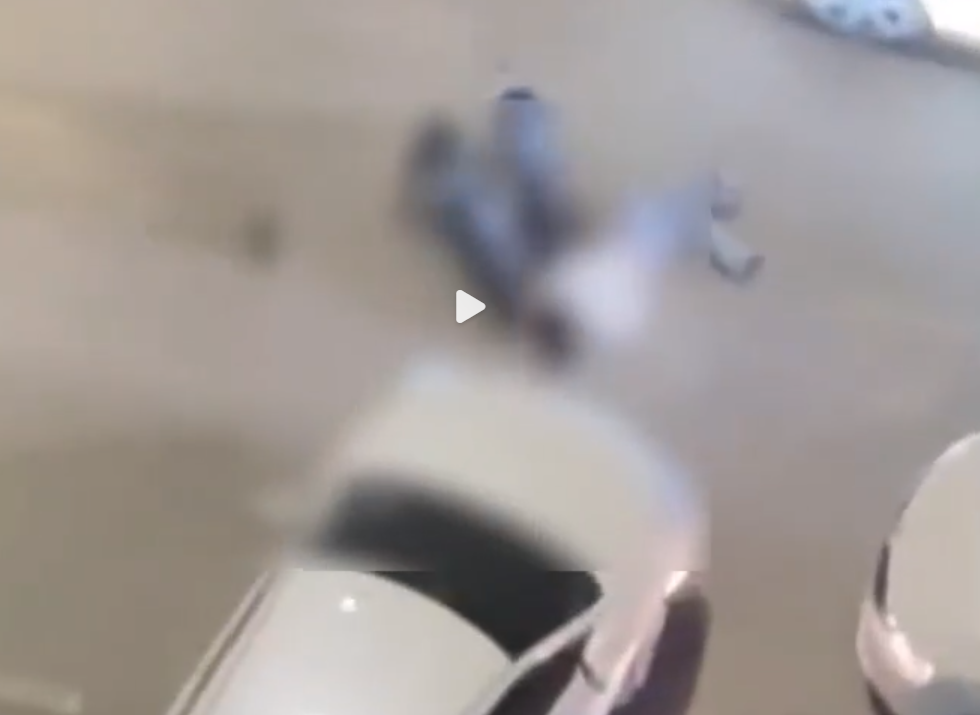 西安西郊两只大型犬围咬一女子，被路过车辆驱赶