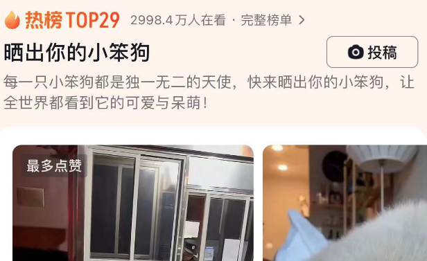 博主发起“晒出你的小笨狗”，网友纷纷应邀