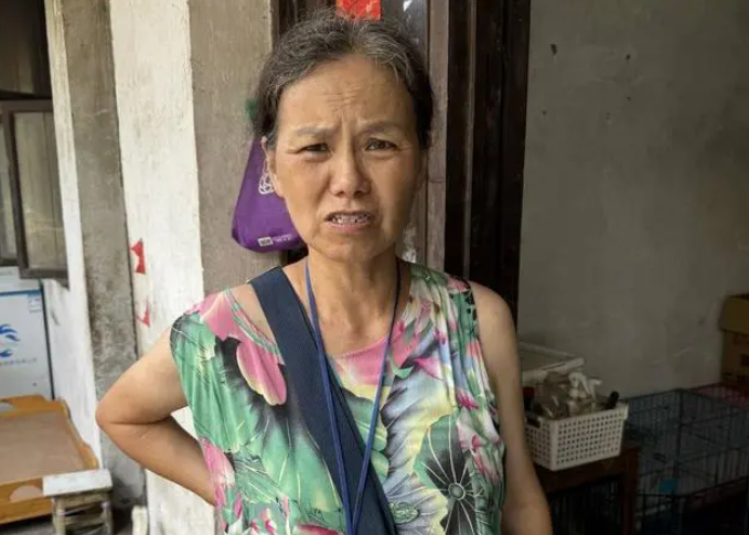 成都六旬老人收容流浪猫狗40余只 盼爱心人士领养