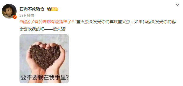 起猛了？？？看到蟑螂有应援棒了！