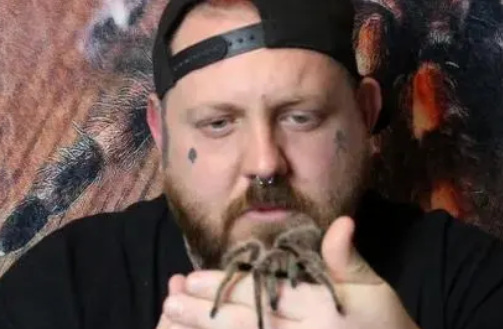 英国男子与700只狼蛛一起生活