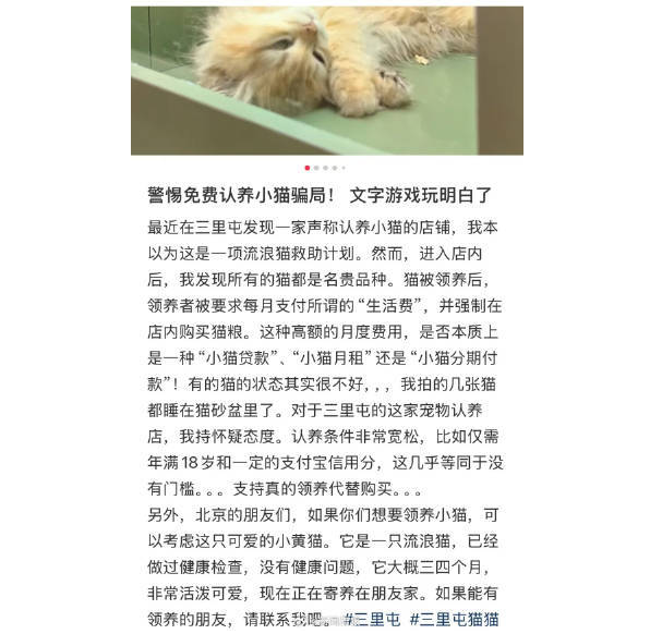 “女子领养猫咪陷入猫贷陷阱：免费猫咪背后的捆绑销售真相”
