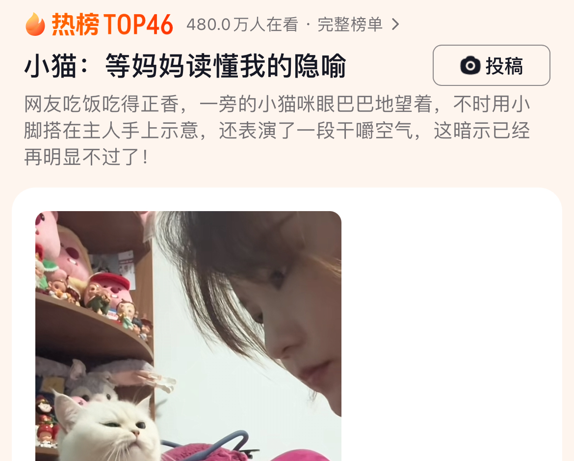 小猫：等妈妈读懂我的隐喻，我早就饿昏了
