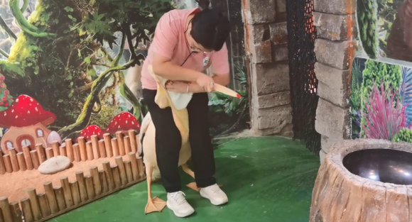 鹈鹕又偷吃同事了？网友：这精神状态很超前啊！