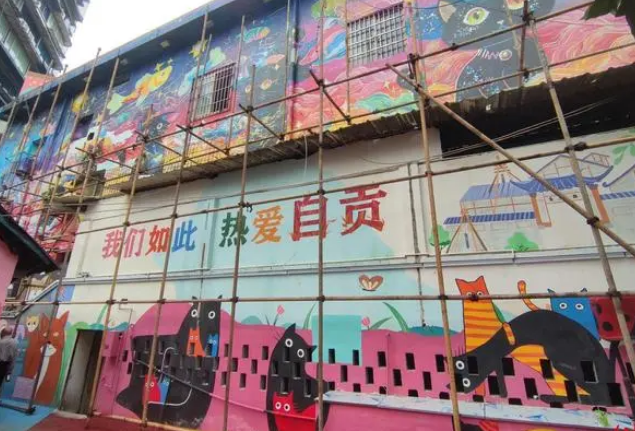 四川自贡“猫猫巷”走红