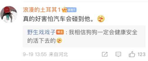  奶奶以为捡了树枝奶奶就要它了，卖力干活的狗狗