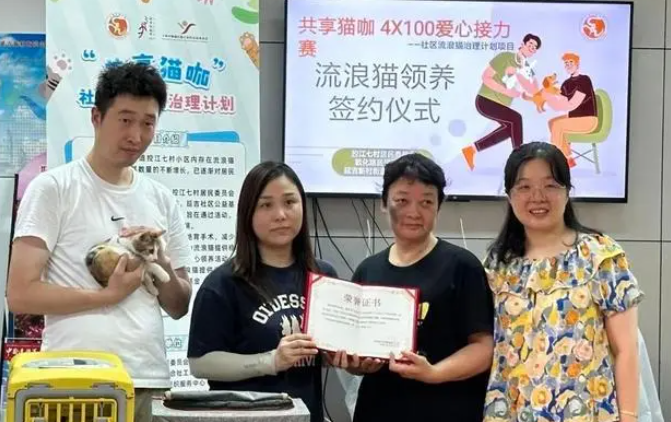 文创设计为流浪猫难题募资，“以疏代堵”创新治理闭环
