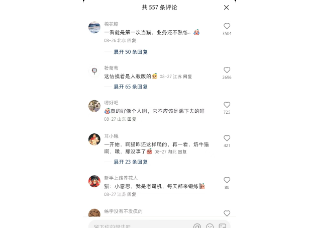 第一次当猫 业务还不熟练？