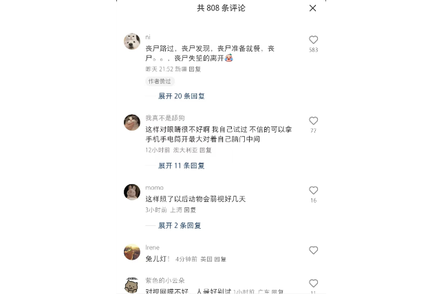 兔：我妈没告诉我脑袋是空的啊