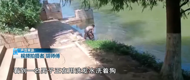 路人劝阻也不听？男子拉着狗在盘龙江边……