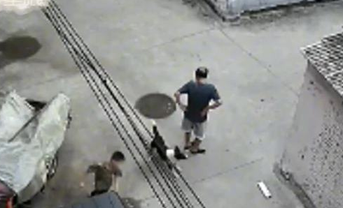 9岁男童家楼下遭男子放狗扑咬？