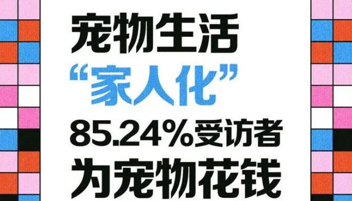 宠物生活“家人化” 超85%受访者为宠物花钱