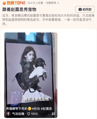 跟着赵露思秀宠物火了！手中抱着萌宠，一举一动尽显灵动气质