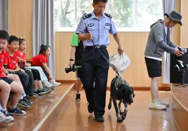 爱心暑托班请来“公务汪”，小学生“零距离”接触
