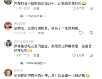 第一次看到鱼打架？说了你别不信