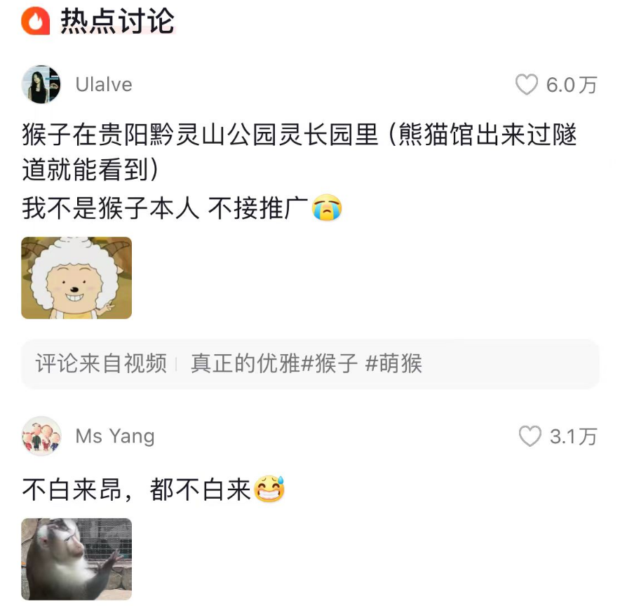最喜欢凹造型的猴子，快来了解一下