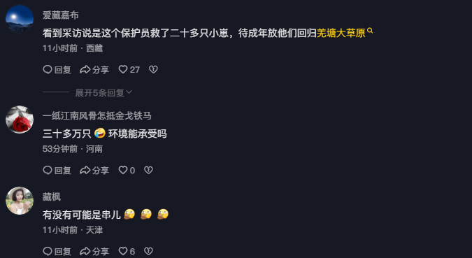 西藏羌塘首次发现白色藏羚羊幼崽