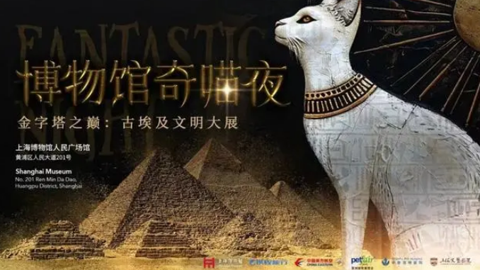 博物馆奇“喵”夜7月19日启售，参加的猫咪有何条件？