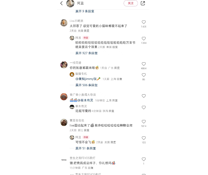喵界的时尚灾难？给猫一点cos的震撼