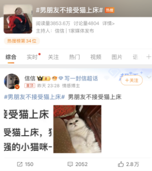 男朋友不接受猫上床，引起网友热议
