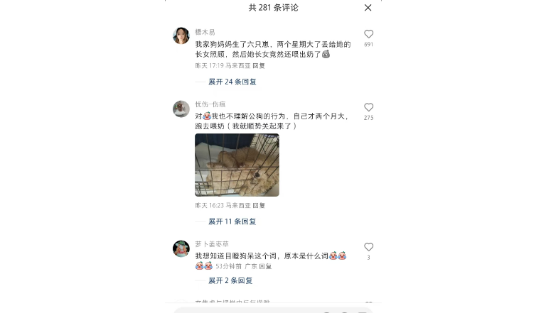 两个月大的小公狗无痛当妈？