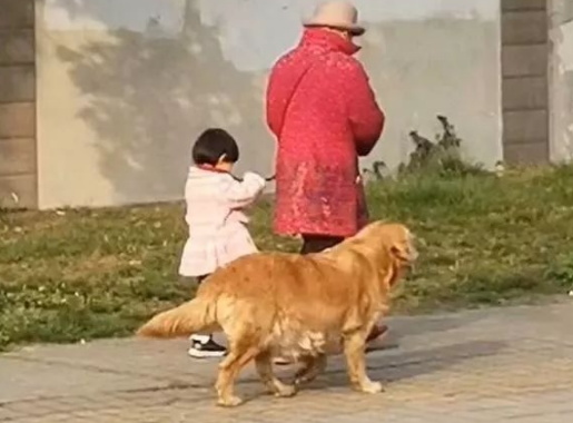 大妈带着孩子遛狗看着还挺温馨，走近了一看笑喷