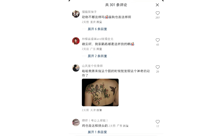 第一次知道麻雀是这样挠头的
