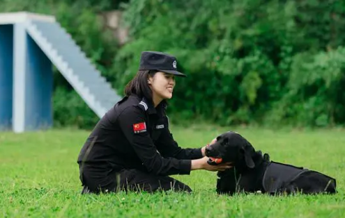使命必达！探访警犬大队感受“奇兵”风采