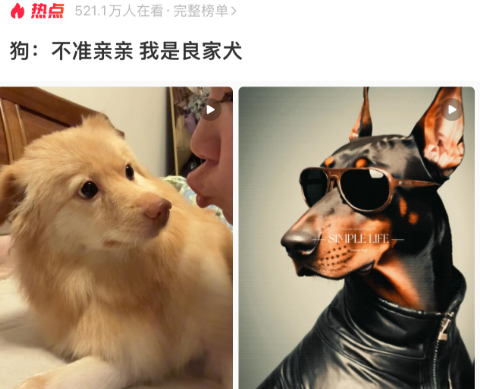 狗：不准亲亲 我是良家犬