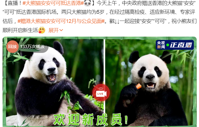 大熊猫安安可可顺利抵达香港！放心了