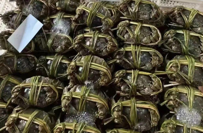 顺丰获颁“2024年阳澄湖大闸蟹产业物流合作商”称号