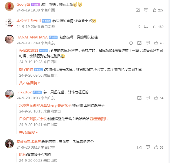 奶奶为防老鼠房间放满南瓜，创意防鼠法效果存疑