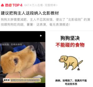 建议把狗主人这段纳入北影教材，网友：这表演，毫无表演痕迹！
