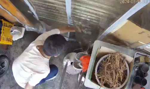 小区流浪猫身中10箭死亡，还有多只猫咪被射伤！