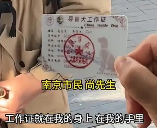 南京一男子称“带导盲犬医院看病被拦”，多方回应