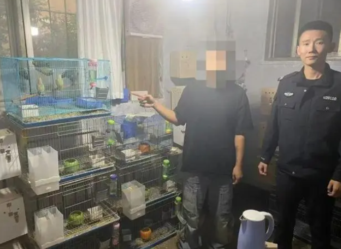 假朋友变真盗贼 男子偷朋友30只鹦鹉被抓