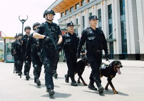 使命必达！探访警犬大队感受“奇兵”风采