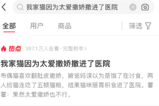 我家猫因为太爱撒娇撒进了医院