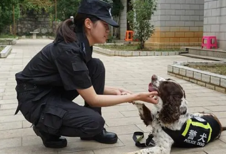 使命必达！探访警犬大队感受“奇兵”风采